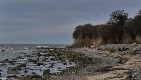 Küstenlandschaft der Ostsee